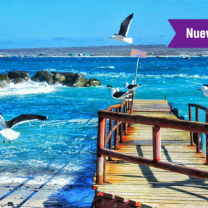 DigiTicket |  Parcela 5.500 m² Punta de Choros