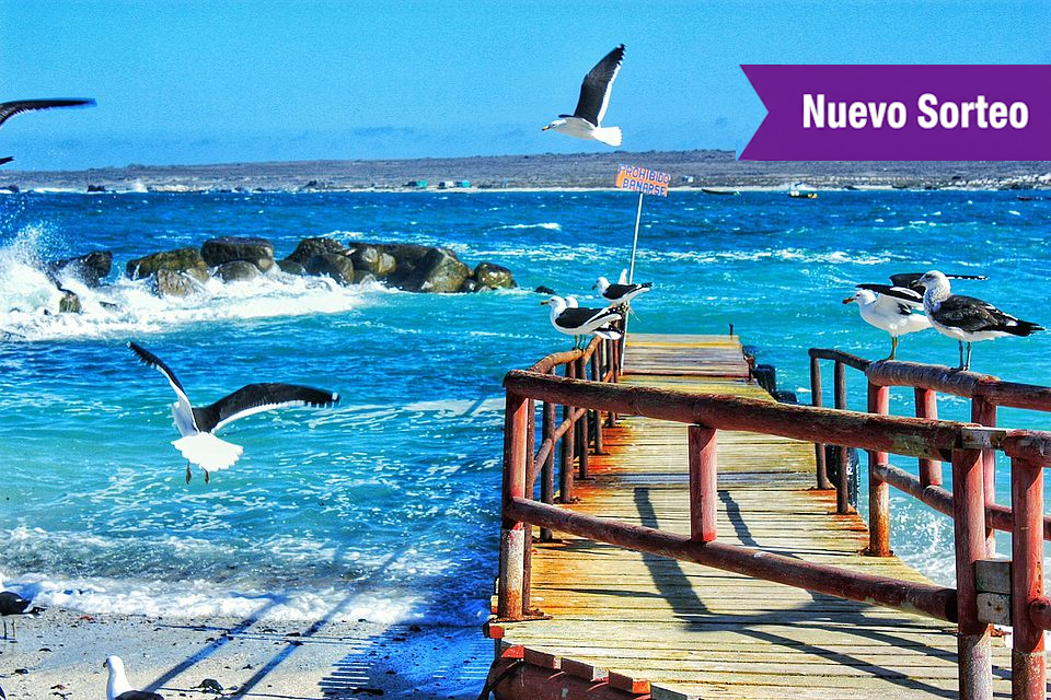 DigiTicket |  Parcela 5.500 m² Punta de Choros